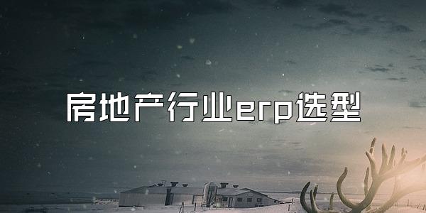 房地产行业erp选型