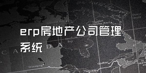 erp房地产公司管理系统