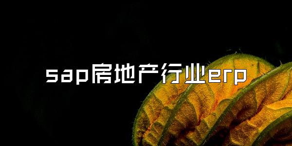 sap房地产行业erp