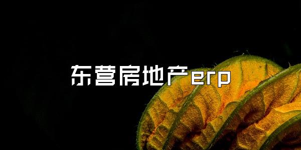 东营房地产erp