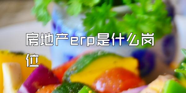 房地产erp是什么岗位