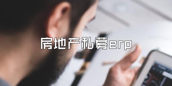 房地产私募erp