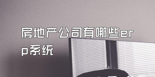 房地产公司有哪些erp系统