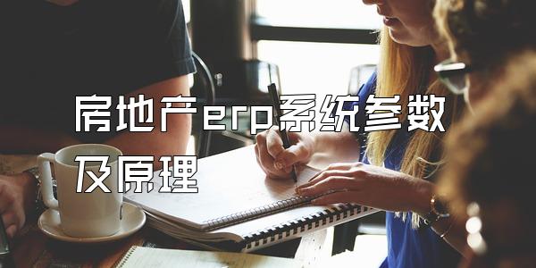 房地产erp系统参数及原理