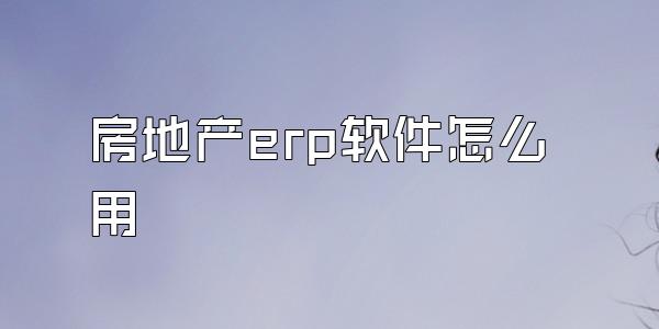 房地产erp软件怎么用