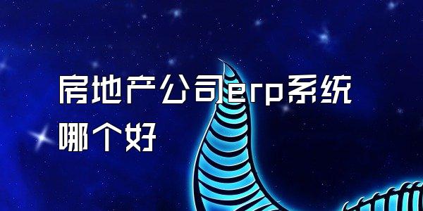 房地产公司erp系统哪个好