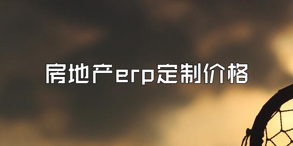 房地产erp定制价格