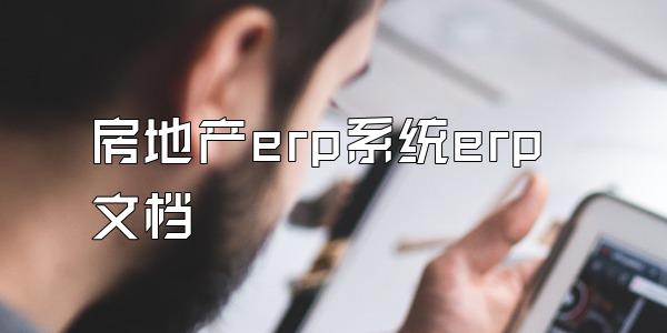 房地产erp系统erp文档