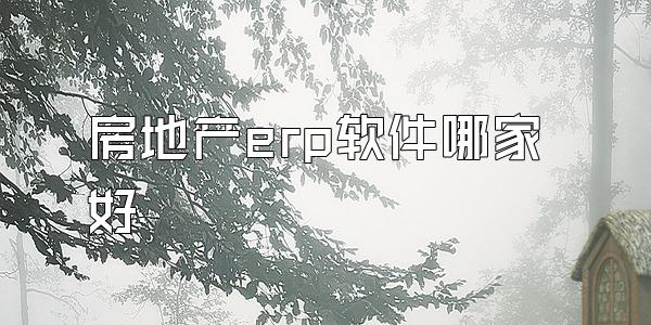 房地产erp软件哪家好