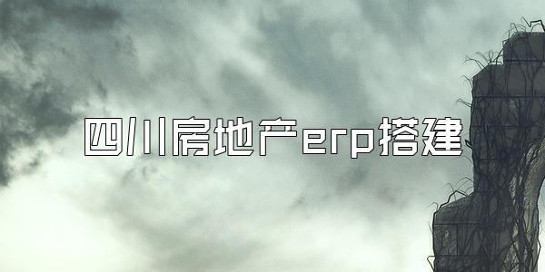 四川房地产erp搭建