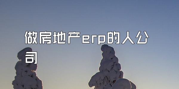 做房地产erp的人公司