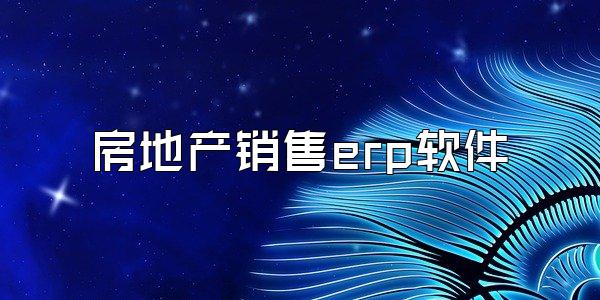 房地产销售erp软件