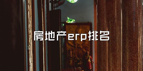 房地产erp排名