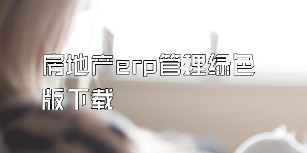 房地产erp管理绿色版下载