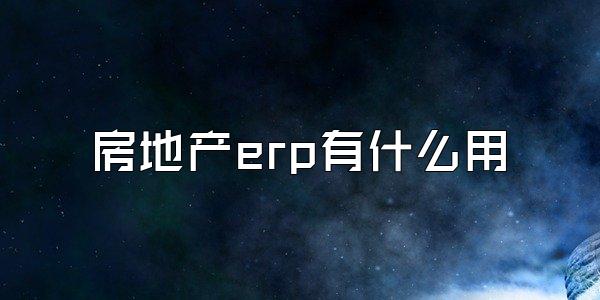 房地产erp有什么用