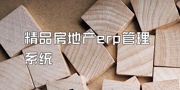 精品房地产erp管理系统