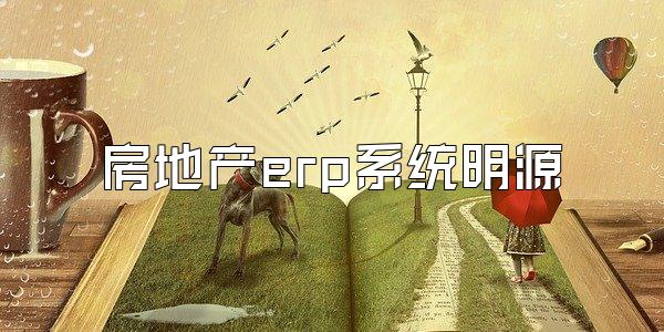 房地产erp系统明源