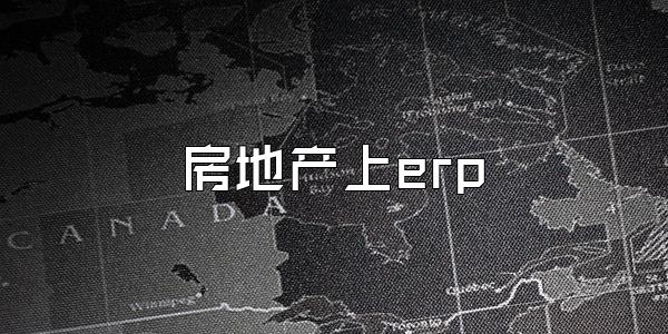 房地产上erp