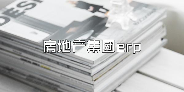 房地产集团erp