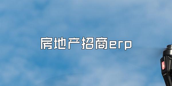 房地产招商erp
