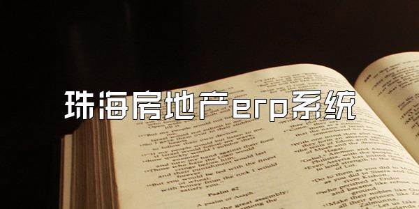 珠海房地产erp系统