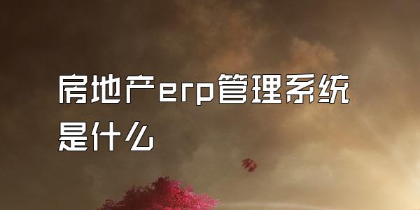 房地产erp管理系统是什么
