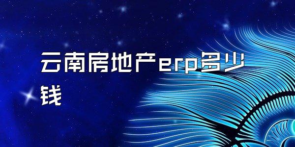 云南房地产erp多少钱