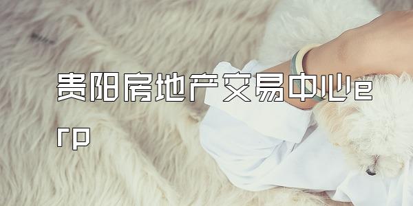 贵阳房地产交易中心erp
