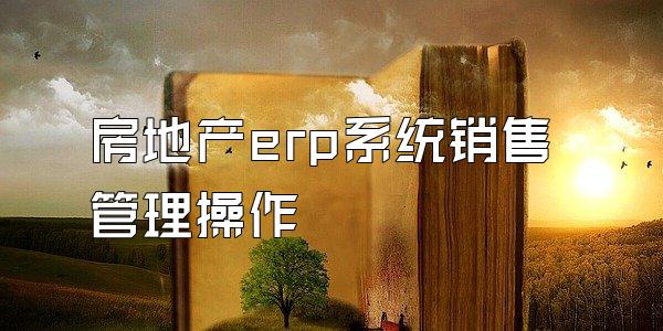 房地产erp系统销售管理操作