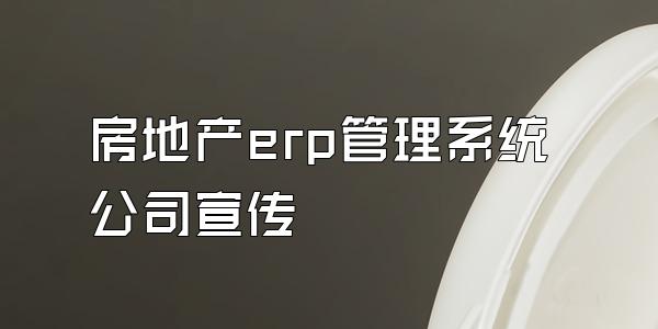 房地产erp管理系统公司宣传