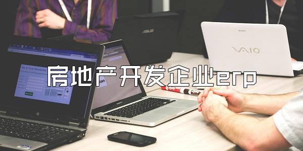 房地产开发企业erp
