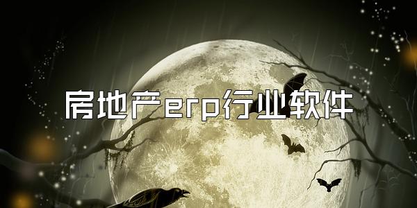 房地产erp行业软件