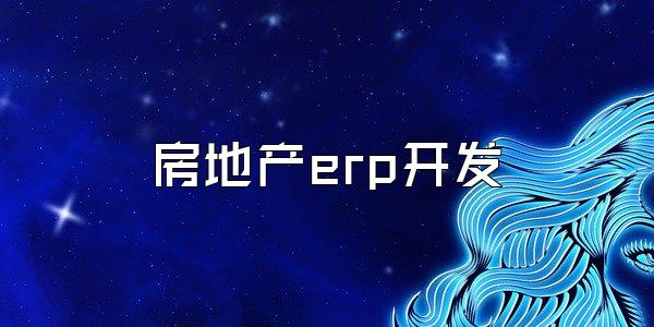 房地产erp开发