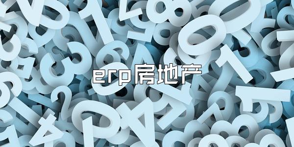 erp房地产