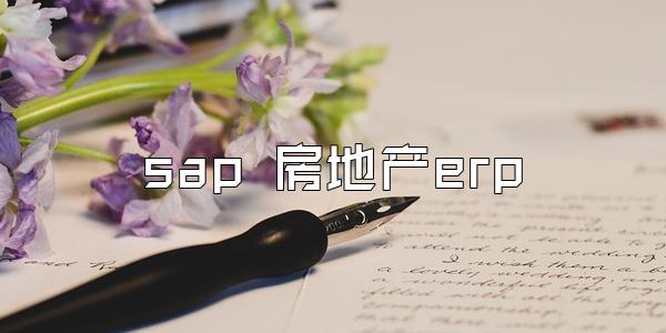 sap 房地产erp