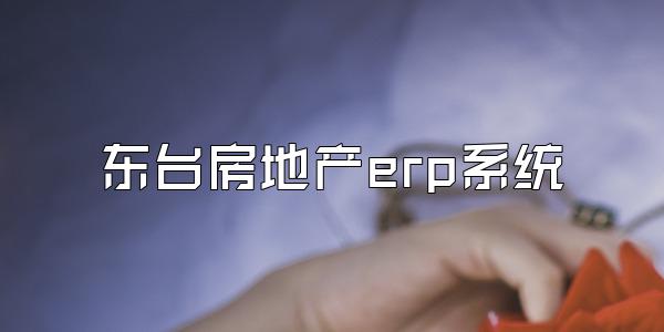 东台房地产erp系统