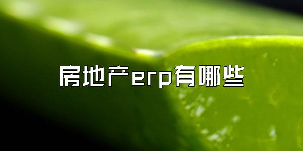 房地产erp有哪些