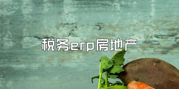税务erp房地产