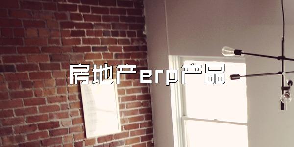 房地产erp产品