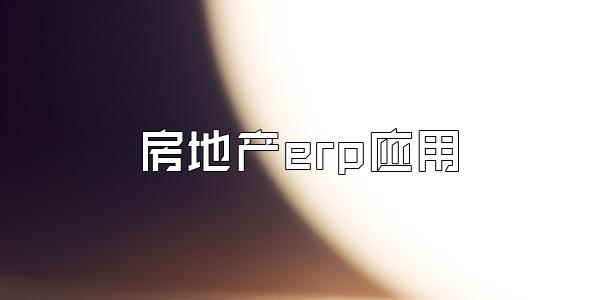 房地产erp应用