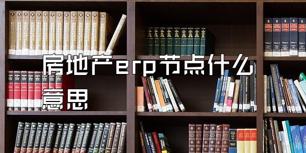 房地产erp节点什么意思
