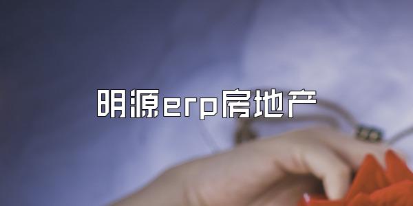 明源erp房地产