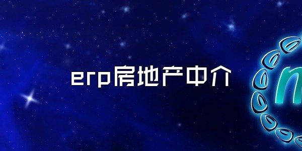 erp房地产中介