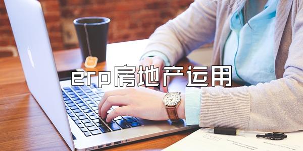 erp房地产运用
