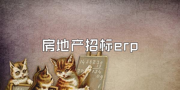 房地产招标erp