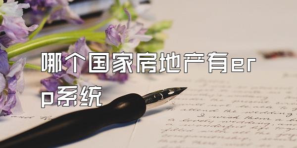 哪个国家房地产有erp系统