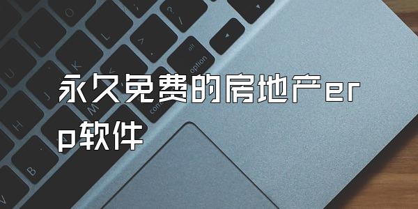 永久免费的房地产erp软件