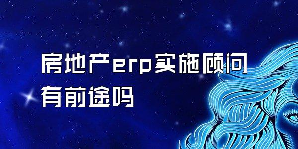 房地产erp实施顾问有前途吗