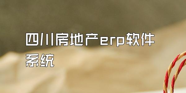 四川房地产erp软件系统