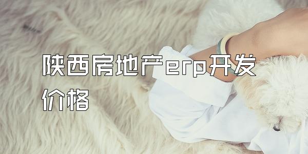 陕西房地产erp开发价格